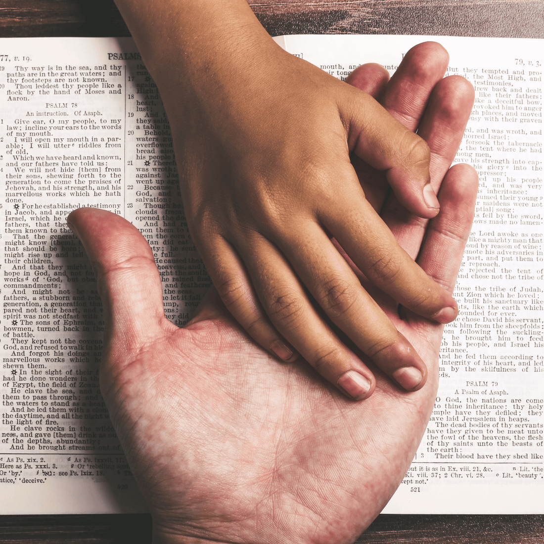 ¿Qué es el Magisterio de la Iglesia? La voz viva de la verdad católica