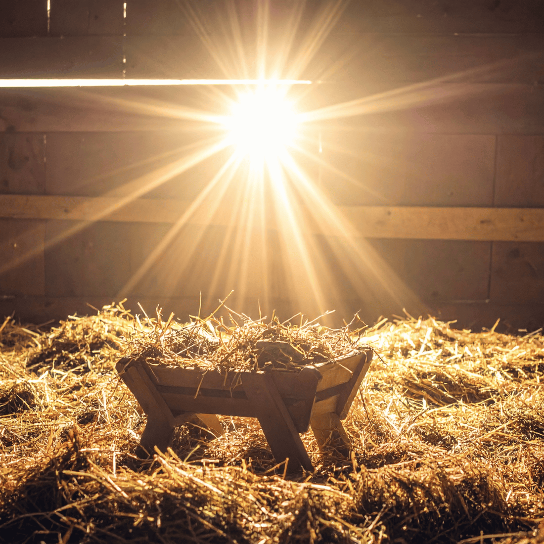 ¿Qué son los días de obligación en la religión católica?