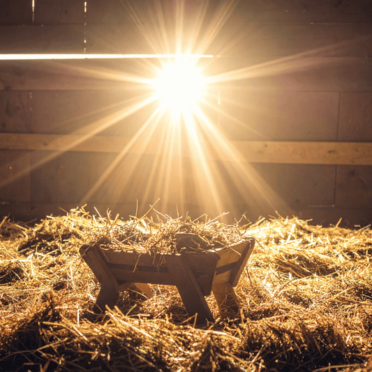 ¿Qué son los días de obligación en la religión católica?